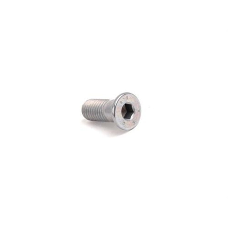 Brake Rotor Screw | M10X25X15 Eurovan