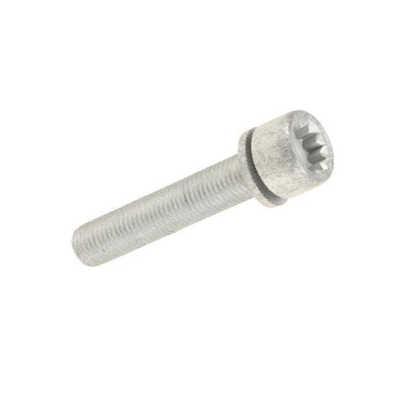 Rear Caliper Carrier Bolt (M12x1.5×65) – VW/Audi (many models check fitment)