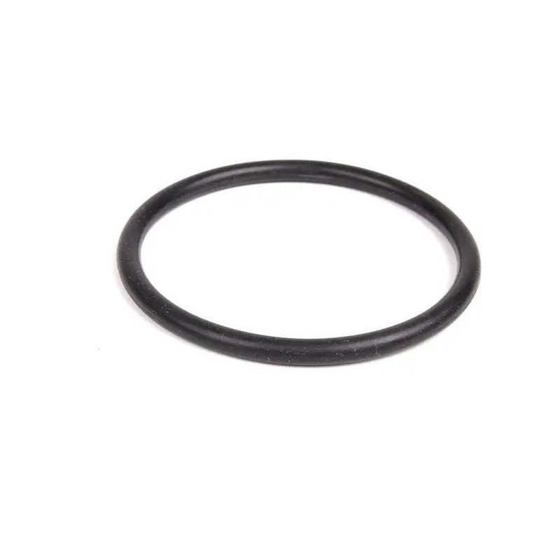 Water Pump O-Ring | 20v 1.8T and 2.0T FSi