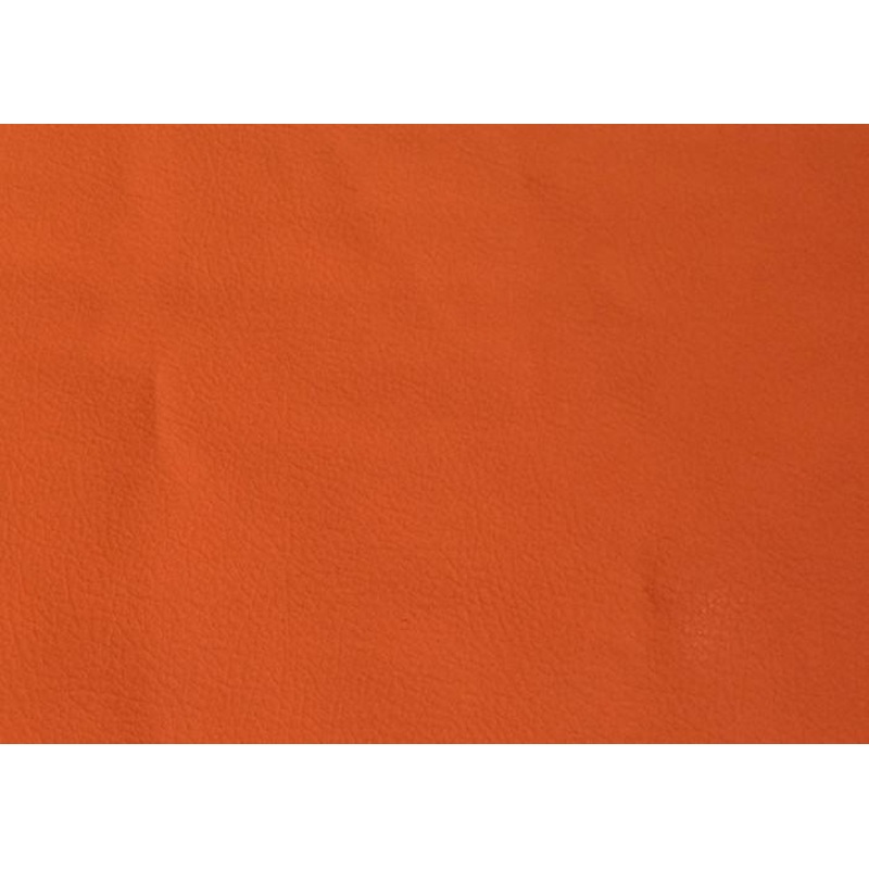 AutoBrahn Hood Bra – Orange