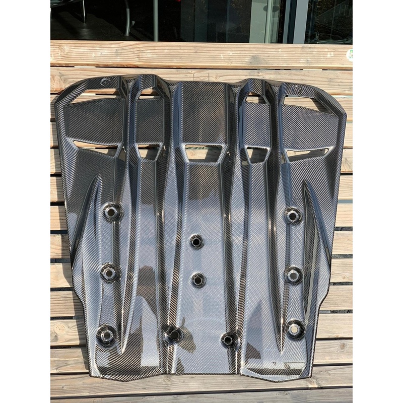 Capristo Porsche 991.2 GT3RS Carbon Fiber Engine Cover/Diffuser