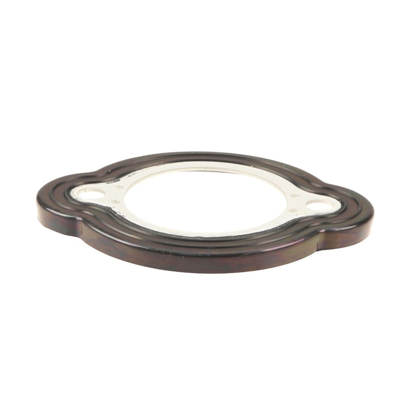 Water Pipe Gasket- BMW (see fitment)
